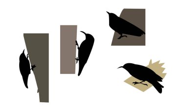 Afrika benekli kuş silueti tasarımı ve vektör illüstrasyonu. 