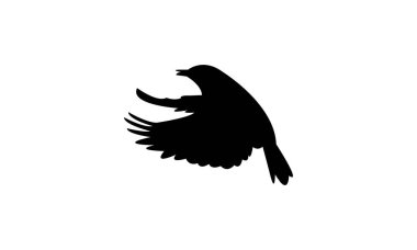 Afrika Taş Devri Kuşu Siluet Tasarım ve Vektör İllüstrasyonu. 