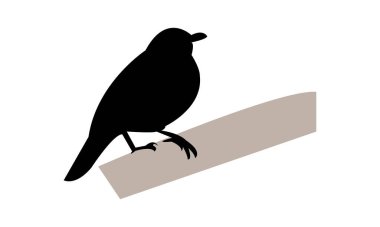 Afrika ardıç kuşu silueti tasarımı ve vektör illüstrasyonu. 