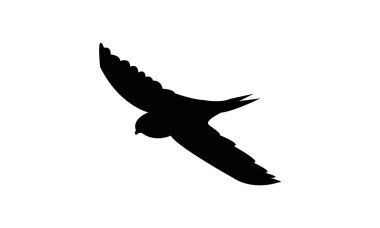 Afrika ardıç kuşu silueti tasarımı ve vektör illüstrasyonu. 