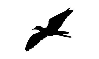 Uçan Afrikalı kanatlı kuş silueti tasarım ve vektör ilüstrasyonu. 