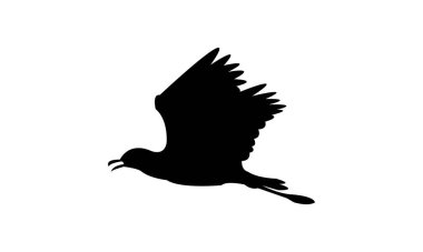 Uçan Afrikalı kanatlı kuş silueti tasarım ve vektör ilüstrasyonu. 