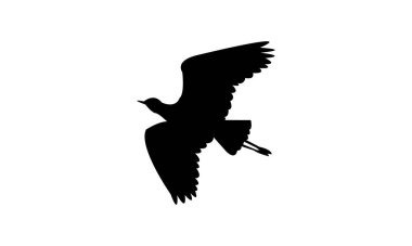 Uçan Afrikalı kanatlı kuş silueti tasarım ve vektör ilüstrasyonu. 