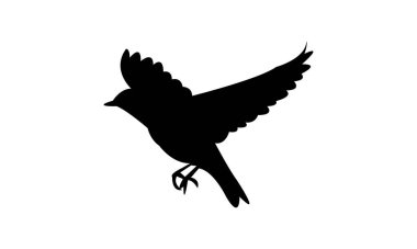 Afrika sarı ötleğen kuşu silueti tasarımı ve vektör illüstrasyonu. 