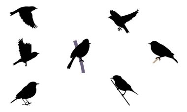 Afrika sarı ötleğen kuşu silueti tasarımı ve vektör illüstrasyonu. 