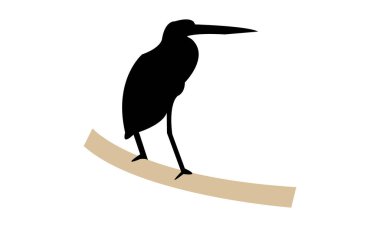 Agami heron kuş silueti tasarım ve vektör illüstrasyonu. 
