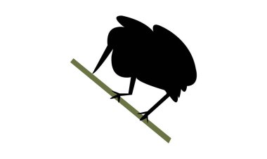 Agami heron kuş silueti tasarım ve vektör illüstrasyonu. 