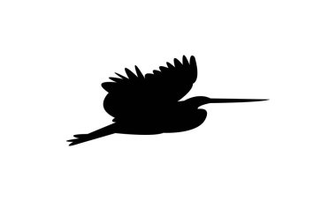 Agami heron kuş silueti tasarım ve vektör illüstrasyonu. 