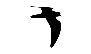 Uçan Ainley 'nin fırtına kuşu siluet tasarım ve vektör ilüstrasyonu. 