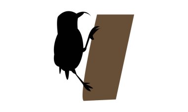 Akiapolaau kuş silueti tasarımı ve vektör illüstrasyonu. 