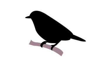 Aldabra beyaz gözlü kuş silueti tasarımı ve vektör çizimi. 