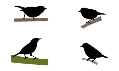 Aldabra beyaz gözlü kuş silueti tasarımı ve vektör çizimi. 