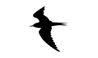 Uçan Aleutian deniz feneri kuş silueti tasarım ve vektör çizimi. 