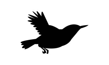 Cezayir tımarhanesi kuş silueti tasarımı ve vektör illüstrasyonu. 