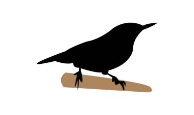 Cezayir tımarhanesi kuş silueti tasarımı ve vektör illüstrasyonu. 