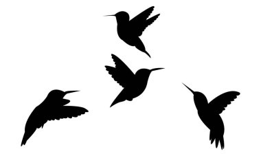 Uçan Allen 'ın sinekkuşu Siluet Tasarımı ve Vektör İllüstrasyonu. 