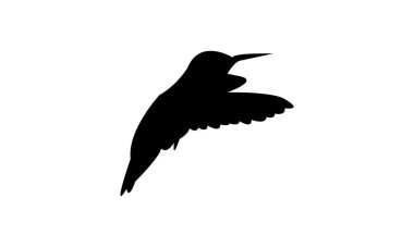 Uçan Allen 'ın sinekkuşu Siluet Tasarımı ve Vektör İllüstrasyonu. 