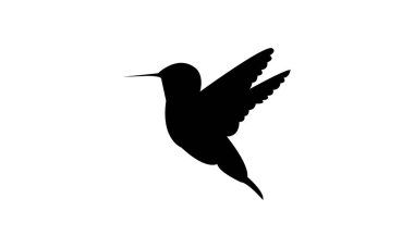 Uçan Allen 'ın sinekkuşu Siluet Tasarımı ve Vektör İllüstrasyonu. 