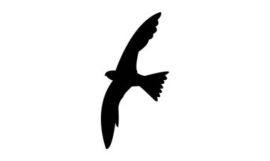 Uçan Alp süratli kuş silueti Tasarım ve Vektör İllüstrasyonu. 