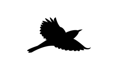 Alp ardıç kuşu silueti tasarımı ve vektör illüstrasyonu. 