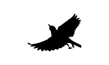 Uçan Altamira oriole kuş silueti tasarım ve vektör ilüstrasyonu. 