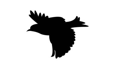 Uçan Altamira oriole kuş silueti tasarım ve vektör ilüstrasyonu. 