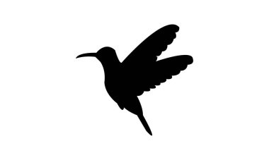 Uçan Amazilia sinekkuşu siluet tasarımı ve vektör ilüstrasyonu. 