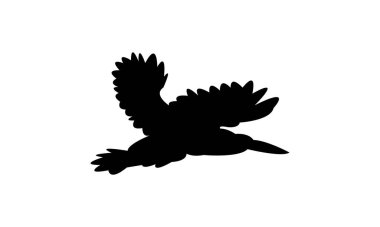 Uçan Amazon Kingfisher Kuşu Siluet Tasarım ve Vektör İllüstrasyonu. 