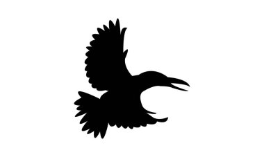 Uçan Amazon Kingfisher Kuşu Siluet Tasarım ve Vektör İllüstrasyonu. 