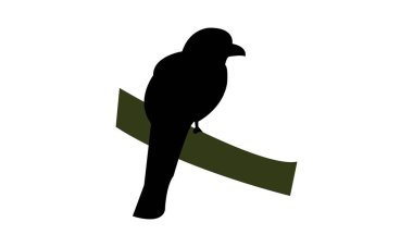 Amazon trogon kuşu siluet tasarımı ve vektör illüstrasyonu. 