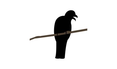 Amazon trogon kuşu siluet tasarımı ve vektör illüstrasyonu. 