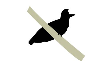 Amazon şemsiyeli kuş silueti tasarım ve vektör illüstrasyonu. 