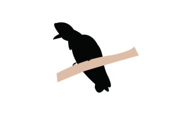 Amazon şemsiyeli kuş silueti tasarım ve vektör illüstrasyonu. 