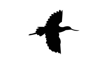 Uçan Amerikan Avocet kuş silueti Tasarım ve Vektör İllüstrasyonu. 