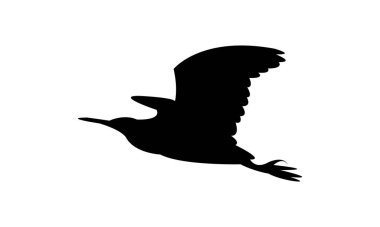 Uçan Amerikan acı bittern kuş silueti tasarım ve vektör ilüstrasyonu. 