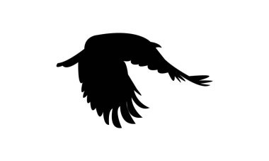 Uçan Amerikan karga kuş silueti tasarım ve vektör illüstrasyonu. 