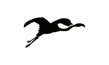 Uçan Amerikan flamingo kuş silueti tasarım ve vektör çizimi. 