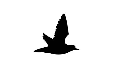 Uçan Amerikan altın yağmurluğu kuş silueti tasarım ve vektör ilüstrasyonu. 