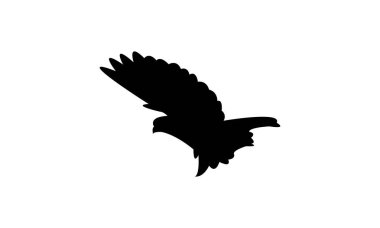 Uçan Amerikan ispinozlu kuş silueti tasarım ve vektör ilüstrasyonu. 