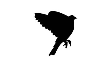 Uçan Amerikan ispinozlu kuş silueti tasarım ve vektör ilüstrasyonu. 