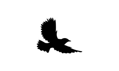 Amerikan Kırmızı Başlıklı Kuş Siluet Tasarımı ve Vektör İllüstrasyonu. 