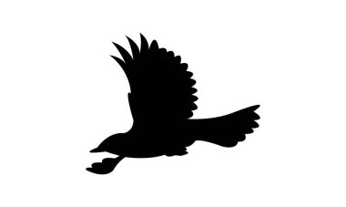 Uçan Amerikan bülbülü siluet tasarım ve vektör illüstrasyonu. 