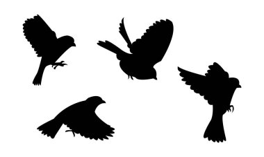 Uçan Amerikan ağaç serçesi kuş silueti tasarım ve vektör illüstrasyonu. 