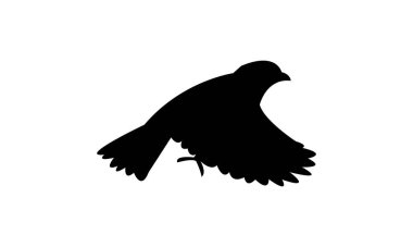 Uçan Amerikan ağaç serçesi kuş silueti tasarım ve vektör illüstrasyonu. 