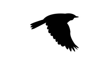 Uçan Amerikan sarı ötleğen kuşu siluet tasarım ve vektör ilüstrasyonu. 