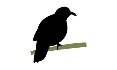 Ametist kahverengi güvercin kuş silueti tasarım ve vektör çizimi. 