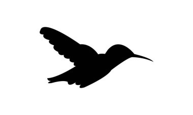 Uçan Ametist ahşap yıldız kuş silueti tasarım ve vektör ilülasyonu. 