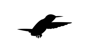 Uçan Ametist ahşap yıldız kuş silueti tasarım ve vektör ilülasyonu. 