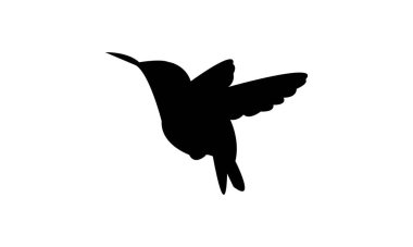 Uçan Ametist ahşap yıldız kuş silueti tasarım ve vektör ilülasyonu. 