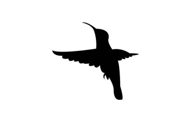 Ametist dağdaki değerli kuşu boğazladı. Siyah siluet tasarımı ve çizimi.. 